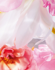 Miss Dior Eau de Parfum – Velvety Rose & Sensual Elegance - 100ml